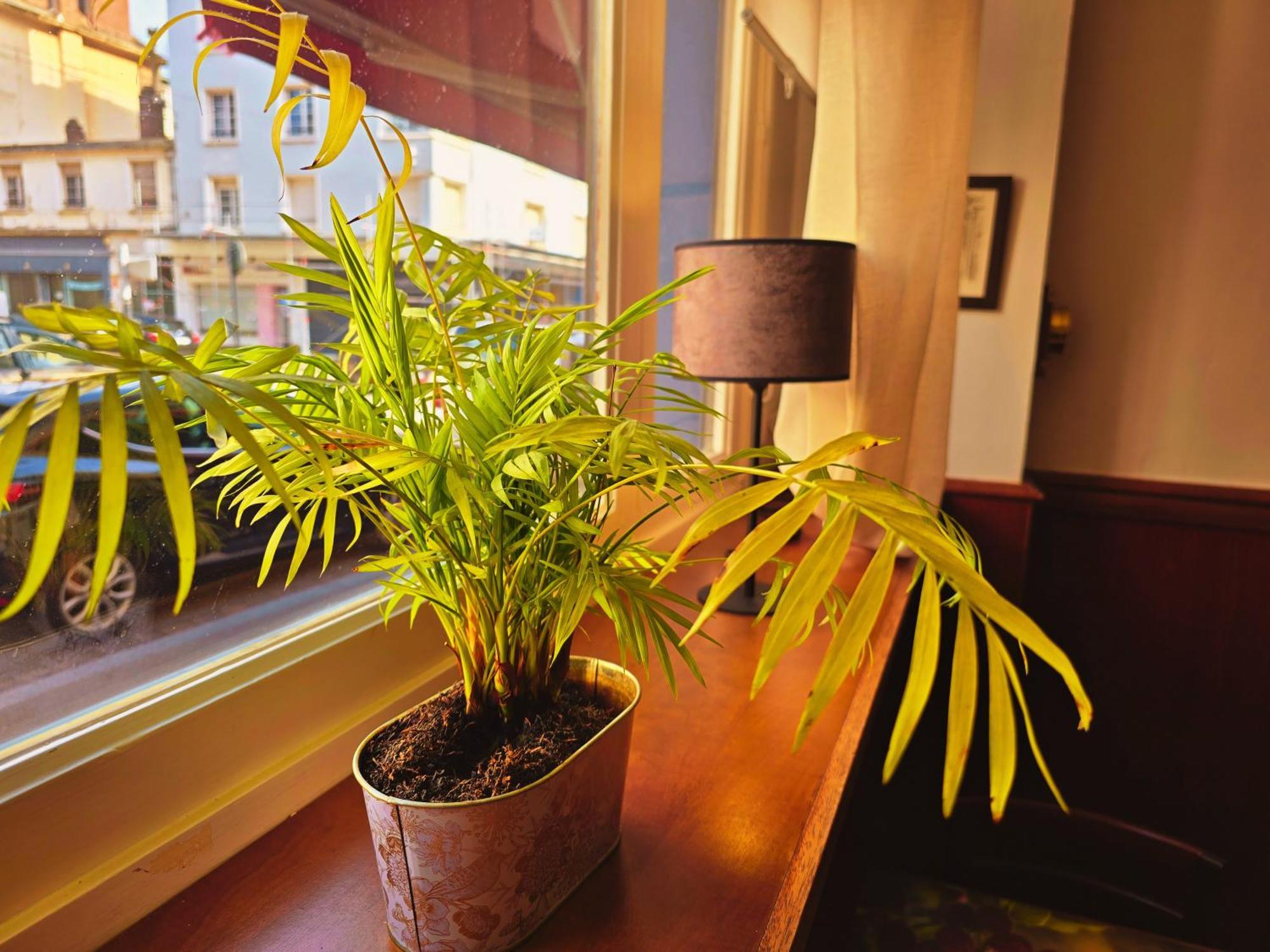 Hotel Alexandra Centre Ville Boulogne-sur-Mer Eksteriør billede